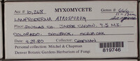 Image Associated With the Occurence